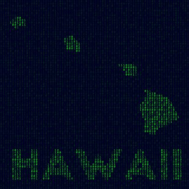 Hawaii 'nin dijital logosu ABD' nin bilgisayar korsanı tarzı ikili kod haritası.