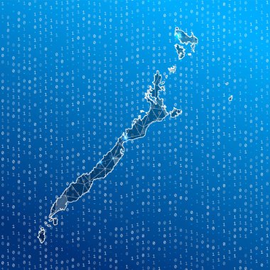 Palawan Adası dijital bağlantılarının ağ haritası Teknoloji İnternet ağı