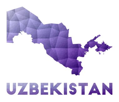 Özbekistan Haritası Mor Geometrik Tasarım Çokgen