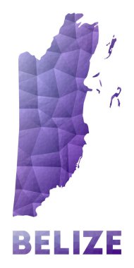 Belize 'nin düşük polyester çizimi Mor geometrik tasarım Çokgen vektörü
