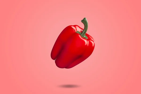 Red bell pepper on red background whit gradient. Colorfull backgrounds concept — Stock Photo, Image