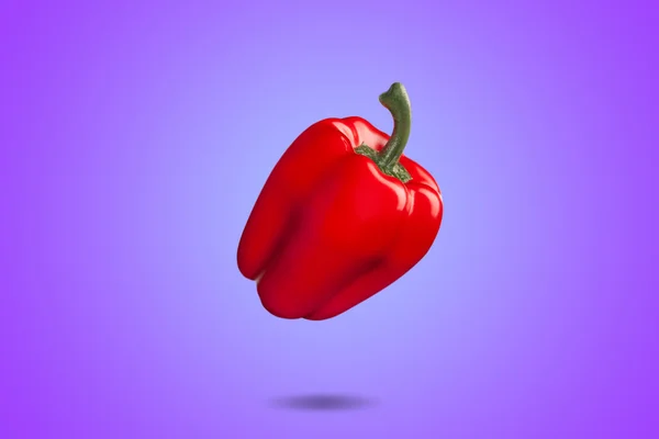 Red bell pepper on violet background whit gradient. Colorfull backgrounds concept — Stock Photo, Image