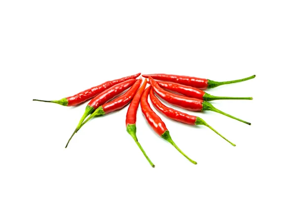 Chilipfeffer — Stockfoto