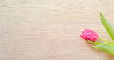 doğal lalelerle donatılmış bir arkaplan ve bir yazı için bir yer 