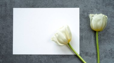 İlginç bir yapısı ve iki beyaz lalesi olan gri arkaplan üzerine beyaz dikdörtgen bir davetiye