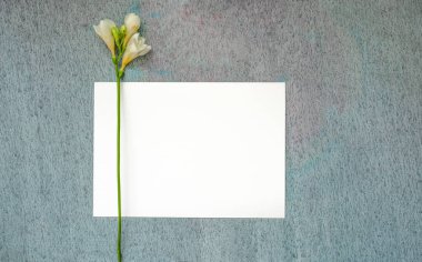 Boş davetiye ya da tebrik kartı, güzel desenli boyama kağıdı, suluboya ve kapkara boyaların el boyası karışımı, doğal beyaz frezya dekorasyonu.