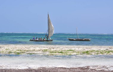 Kenya, Diani Sahili - Aralık 2013 