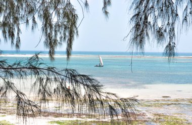 Kenya, Diani Sahili - Aralık 2013 