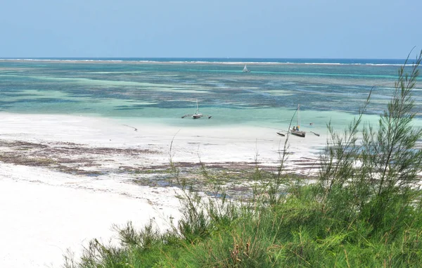 Kenya Diani Beach December 2013 — стокове фото