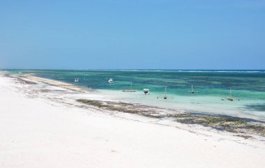 Kenya, Diani Sahili - Aralık 2013 