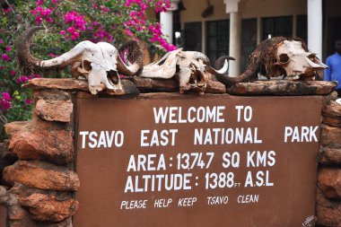 Tsavo Doğu Ulusal Parkı Kenya - Aralık 2013 