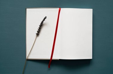 metin için boşluk, kırmızı yer imi, lavanta süslemesi, boyalı bir arkaplan, yukarıdan fotoğraf