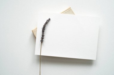 Boş beyaz davet şablonu, dikdörtgen, sanat tuvali dokusu, yumuşak gölgeler, lavanta süslemesi, beyaz arka plan, tuval dokusu, yukarıdan çekilmiş fotoğraf