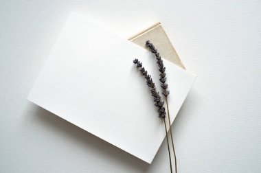 Boş beyaz davet şablonu, dikdörtgen, sanat tuvali dokusu, yumuşak gölgeler, lavanta süslemesi, beyaz arka plan, tuval dokusu, yukarıdan çekilmiş fotoğraf