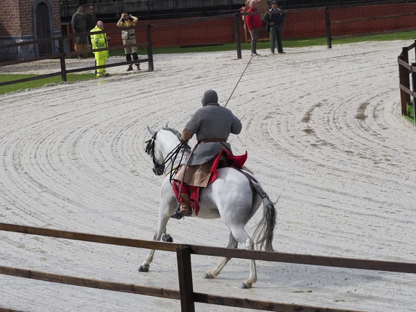 Palio di Legnano — Photo