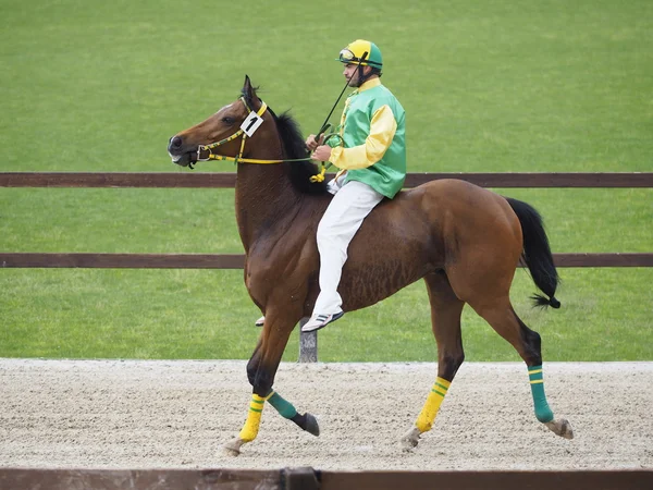 Palio di Legnano — Foto de Stock