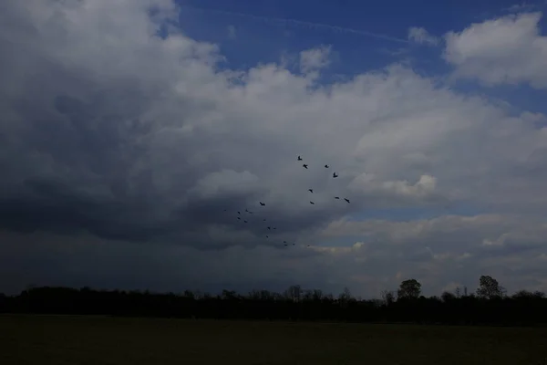 Sky Clouds Thunderstorm — Stock Photo, Image