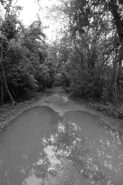 Landweg Tijdens Een Regendag — Stockfoto