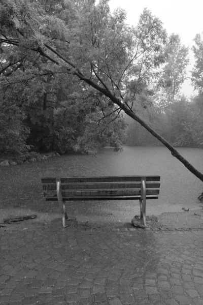 雨の日に公園 黒と白 — ストック写真