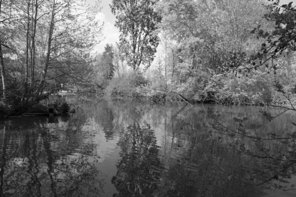 Бетонна Стіна Двома Порожніми Рамами — стокове фото