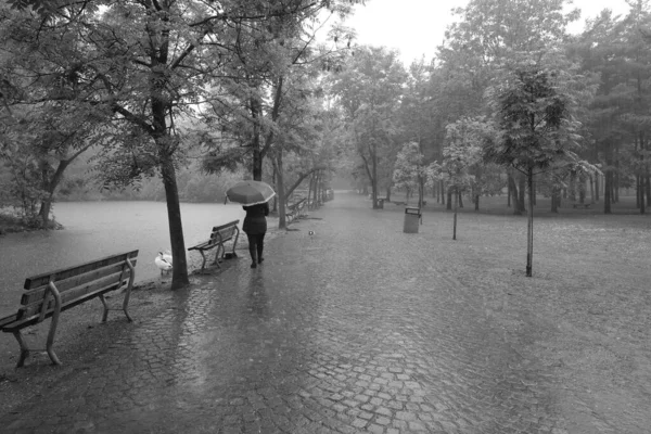 Parcheggiare Giorno Pioggia Bianco Nero — Foto Stock