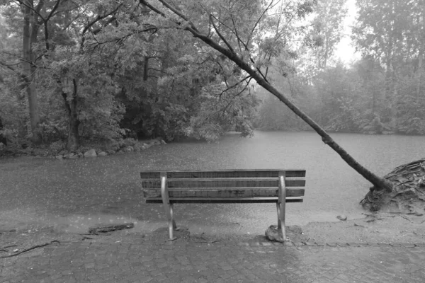 雨の日に公園 黒と白 — ストック写真