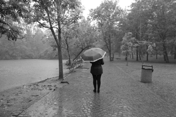 雨の日に公園 黒と白 — ストック写真