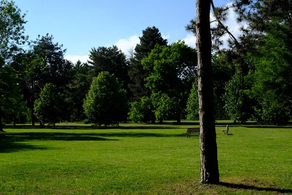 Park Miejski Wiosną Brak Ludzi — Zdjęcie stockowe