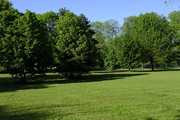 Városi Park Tavasszal Nincsenek Emberek — Stock Fotó