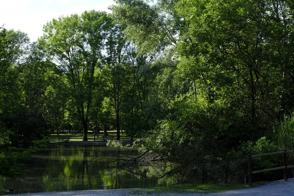 Parque Cidade Primavera Sem Pessoas — Fotografia de Stock