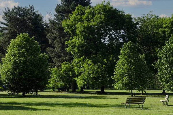 Stadsparken Våren Inga Människor — Stockfoto