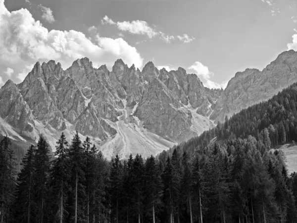Grote bergen met bomen — Stockfoto