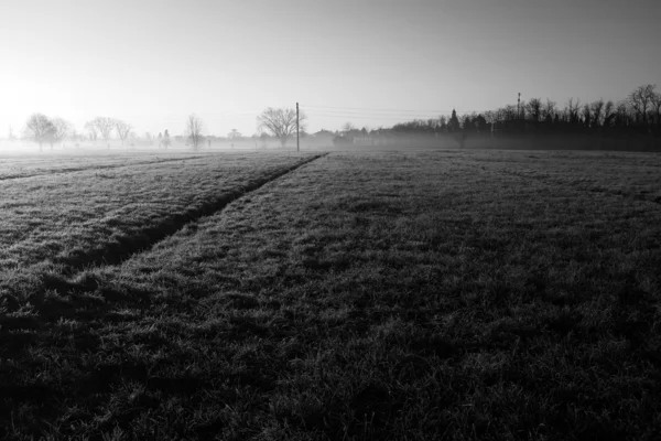 Rano pole z mgły — Zdjęcie stockowe