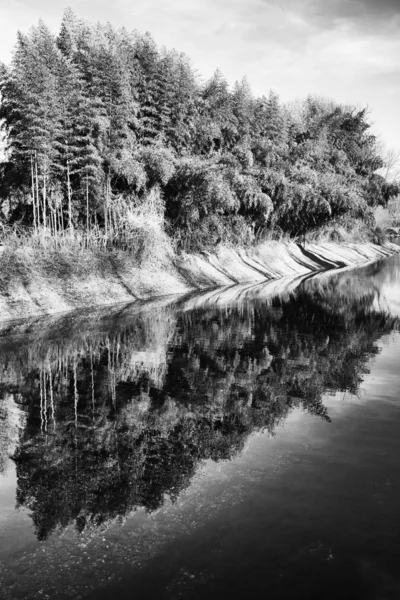 Lagoa com árvores reflexão sobre a água — Fotografia de Stock