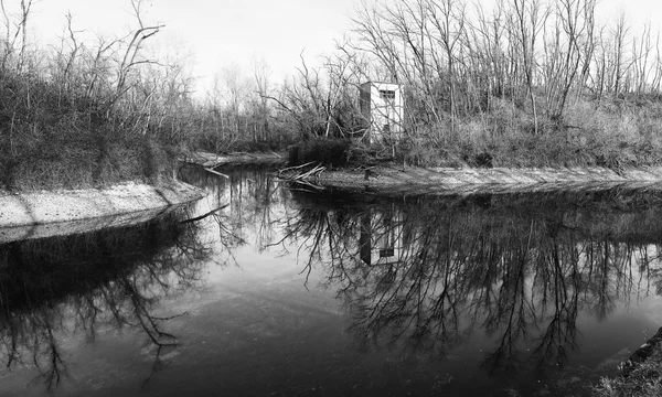 Stagno con alberi riflessione sull'acqua — Foto Stock