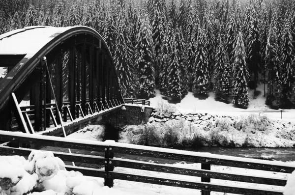 在雪林中通过河流的桥梁 — 图库照片