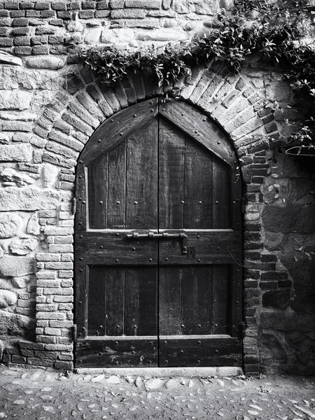 Oude houten deur — Stockfoto