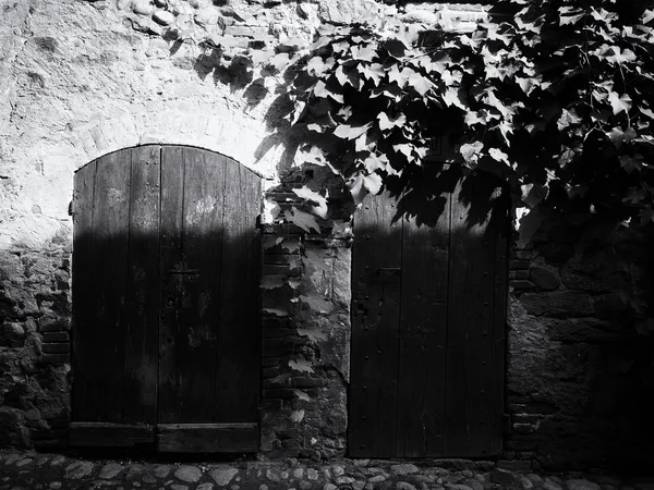 Old wooden doors — Stock Photo, Image