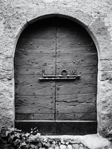 Old wooden door — Stock Photo, Image