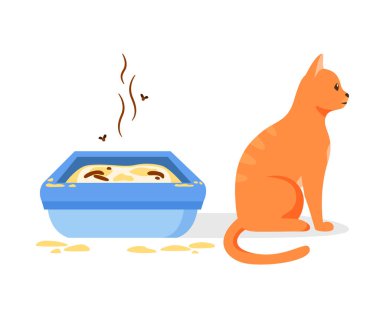 Kedi kirli çöp kutusu kullanmıyor. Kedi tuvaletini korumak için yanlış yol. Hayvan tuvaleti hijyen konsepti. Düz vektör illüstrasyonu