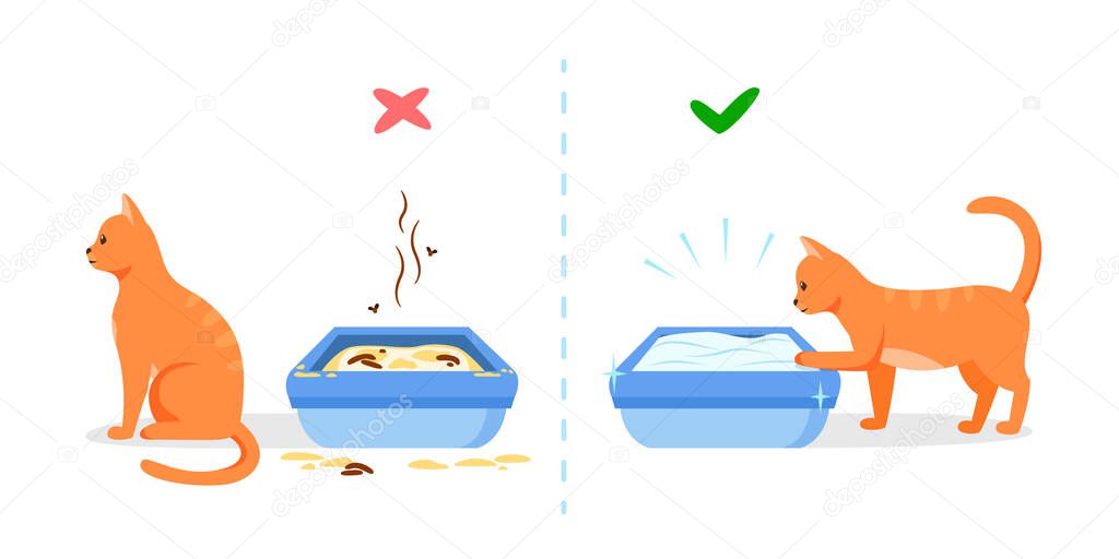 Dirty and clean cat litter box. Wrong and right way to maintain pet toilet. Pet toilet hygiene concept. Vector illustration