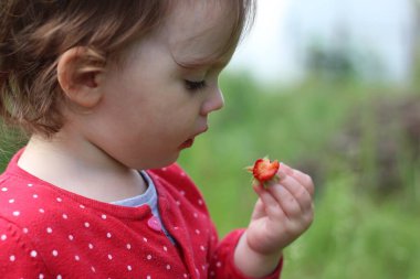 Küçük bir çocuk ısırılmış bir çileği elinde tutuyor.