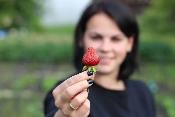 Fresas Rojas Recién Recogidas Mano Una Joven Sonriente Primer Plano —  Fotos de Stock