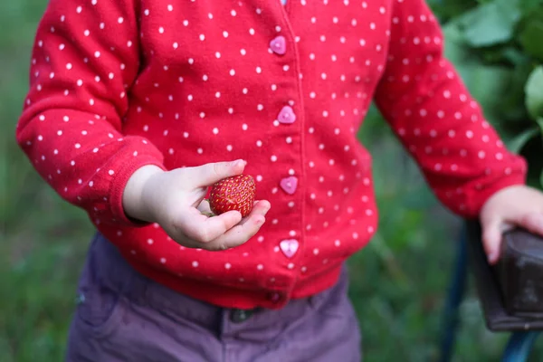 A small child holds a bitten strawberry in his hands