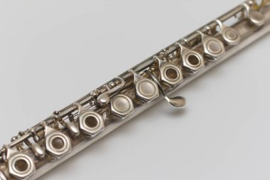 Beyaz flütün çapraz perspektifi