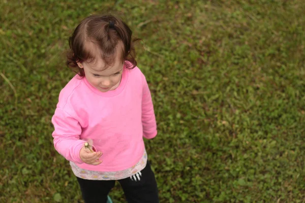 Uma Menina Uma Camiseta Rosa Segura Dente Leão Suas Mãos — Fotografia de Stock