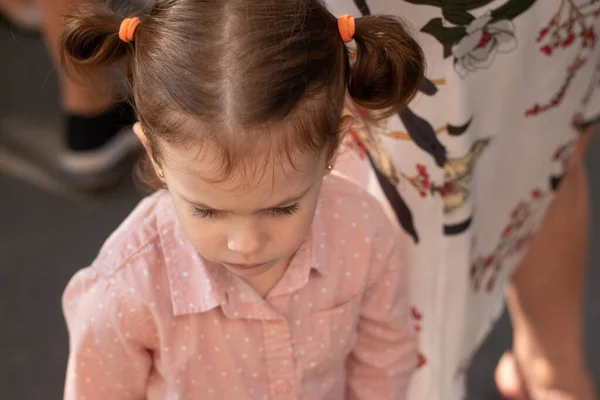 Graciosa Niña Pelirroja Con Dos Colas Caballo Una Camisa Vista —  Fotos de Stock