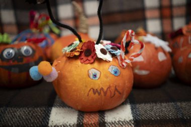 Tahta bir bankta kareli bir ekose üzerinde diğer balkabaklarının arasında yatmaktan korkan bir balkabağı. Sıcak köy Cadılar Bayramı Sonbahar atmosferli sakin bir hayat