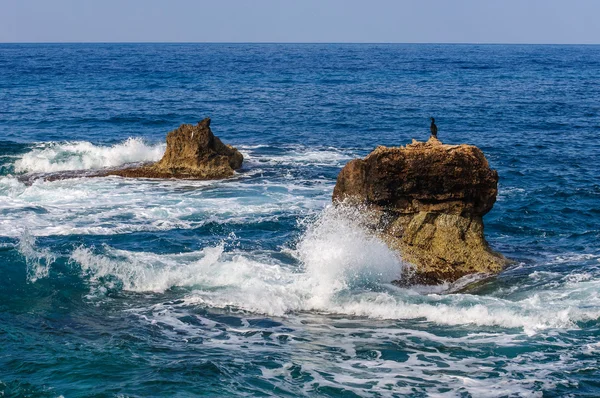 Deniz dalgaları taşların üzerinde yuvarlanıyor