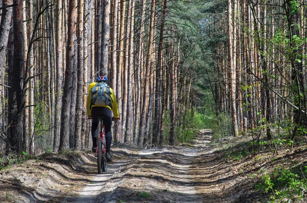 Ciclista practicando bicicleta de montaña en un sendero forestal . — Foto de Stock